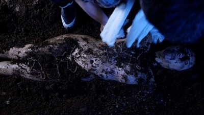 糞 感染 パンデミック 衣織