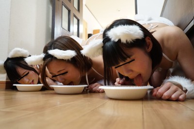 捨てられてたカワイイ猫（メス）ちゃんを拾って飼うことにしたんだけど、お世話するのは超大変！モフモフキャッキャッと戯れて癒されて、肉棒を与えれば、嬉しそうにぺロぺロ舐めてくれて、試しに猫マ○コにチ○ポぶっさしたら案外気持ちよくてニャンニャン感じてくれた！気まぐれ猫ちゃんたちと僕たちの交尾記録。