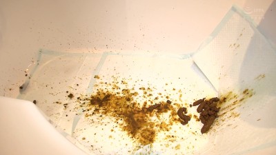 快感脱糞オナニスト