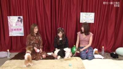 人気AV女優が愛犬と大集合！Hゲーム対決で負けたらワンコの前でマ●コぺろぺろ！ワンダフルだワン！完全版