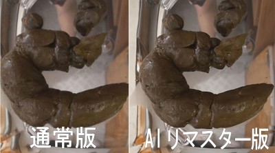 【AIリマスター版】日本の極太うんちベスト100 上巻 3時間52人