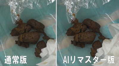 【AIリマスター版】花の女子大生うんちプレミア ミスキャンパス2013
