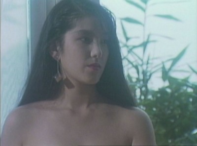 大人のAVベストセレクション vol.39 1980年代名作ドラマ編1 10作品本編まるごと収録