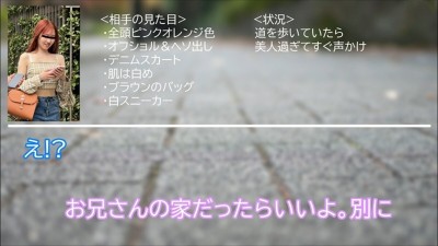 シロウト女子図鑑 真正中出しナンパ！凄腕ナンパ師のHOWtoトークを完全収録！ あみりさん みくるさん