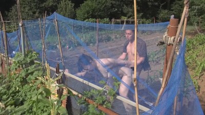 野外で発情！男女密着交尾