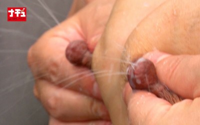 母乳搾り電車 推定Fカップ美熟妻